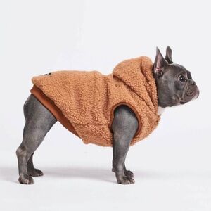 SparkPaws GREEN/Jade Sherpa Dog Hoodie